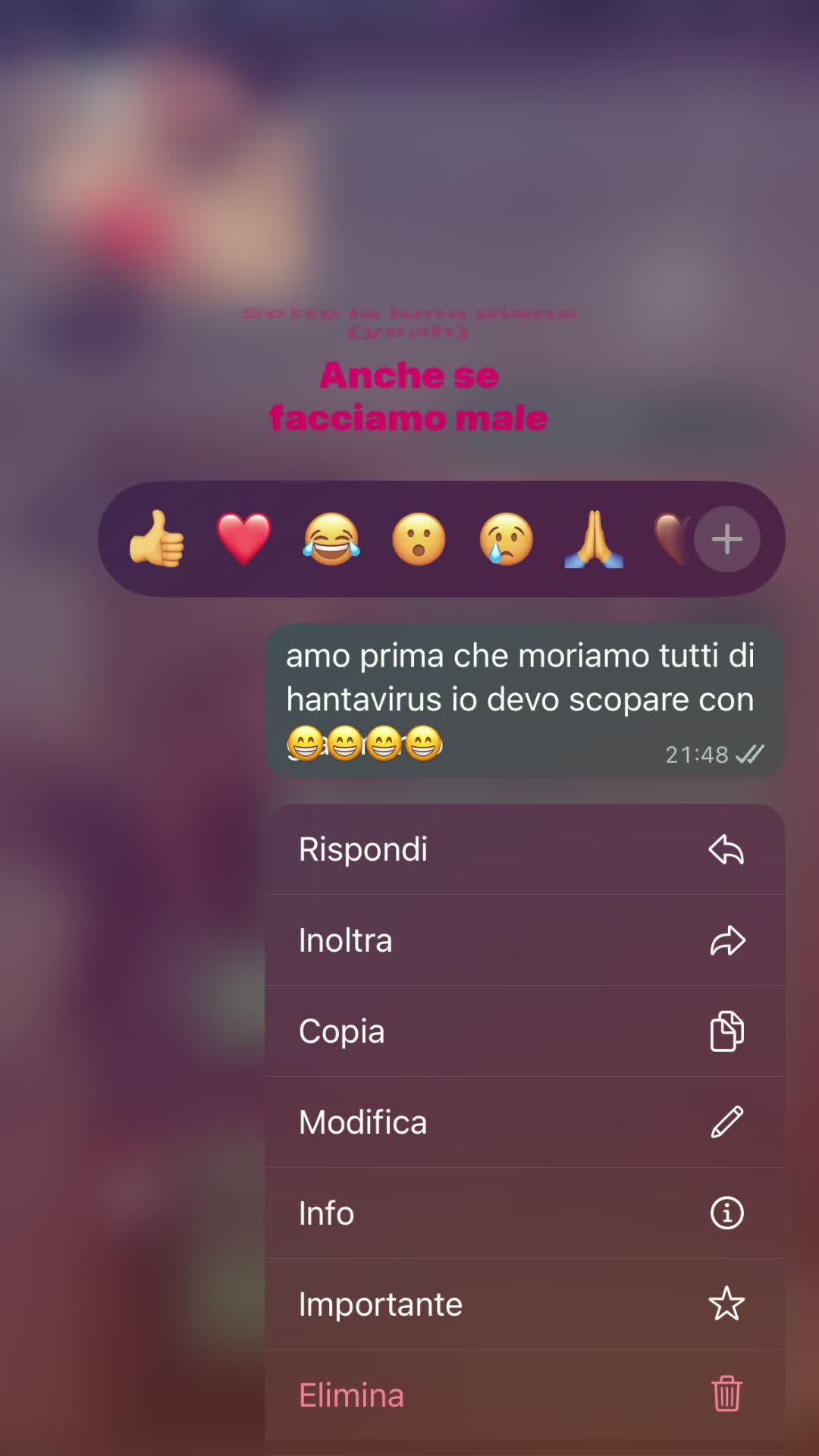 @giadyyspamm