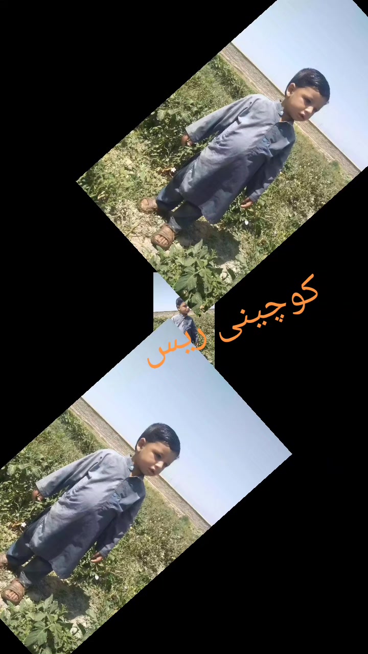 @ریس 💀پروانی 👑هلک