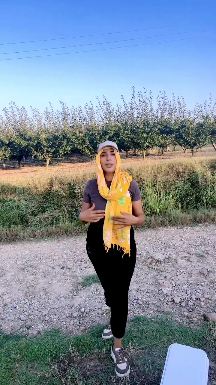 @haloula332