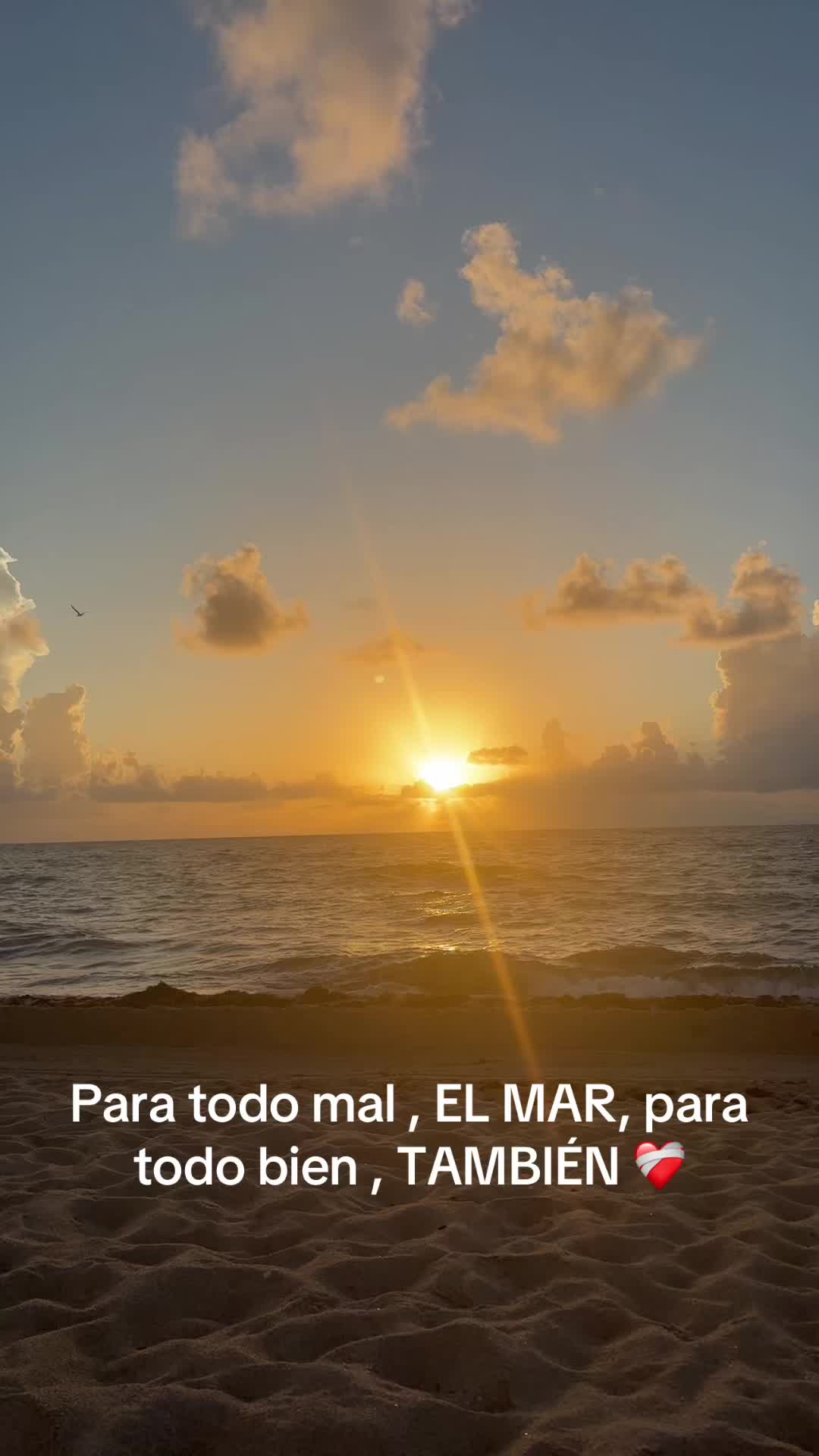 @Claudia Rosado