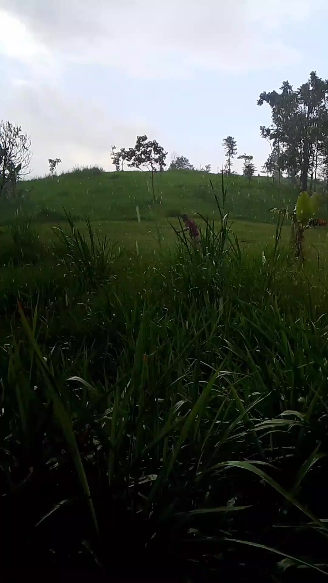 @kijampang