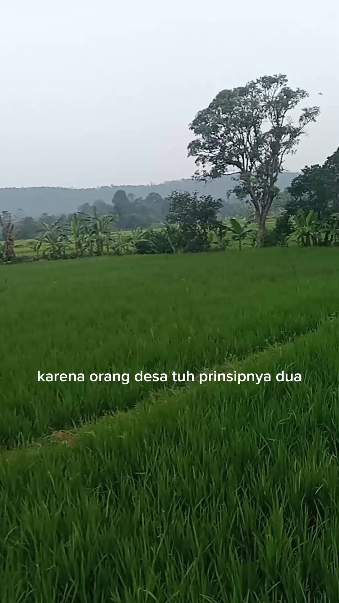 @Tatang Wijaya