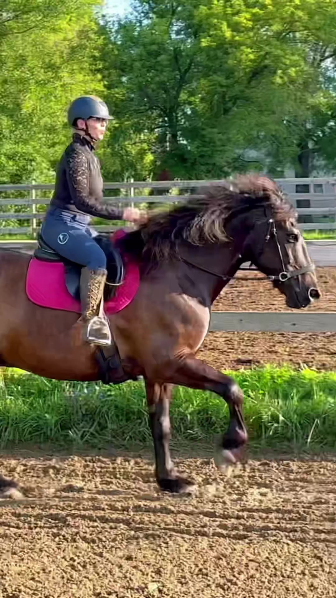 @Free Spirit Equestrian