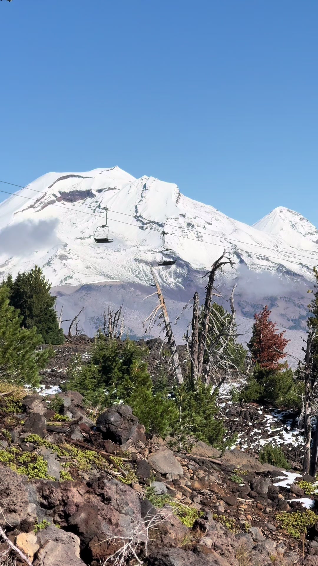 @mt.bachelor