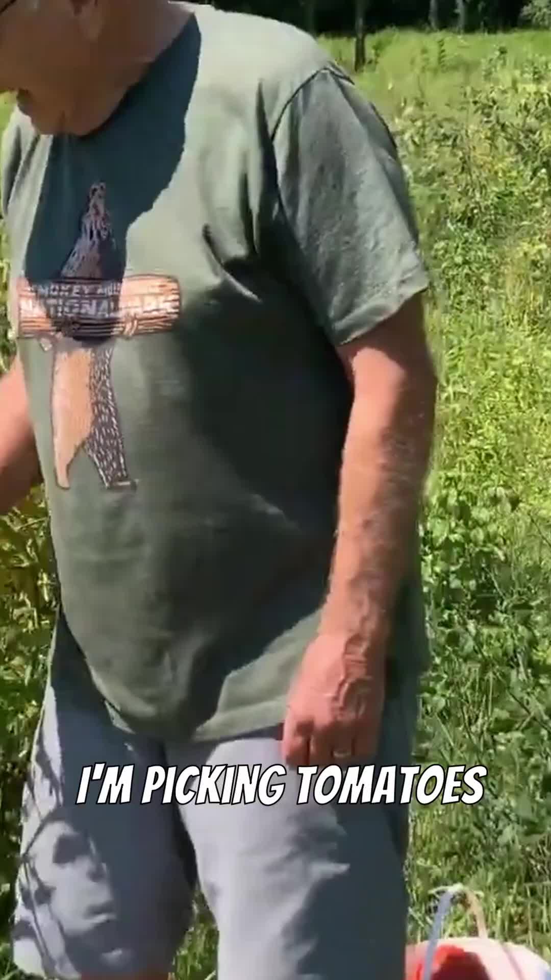 @Farmer 🧑🌾