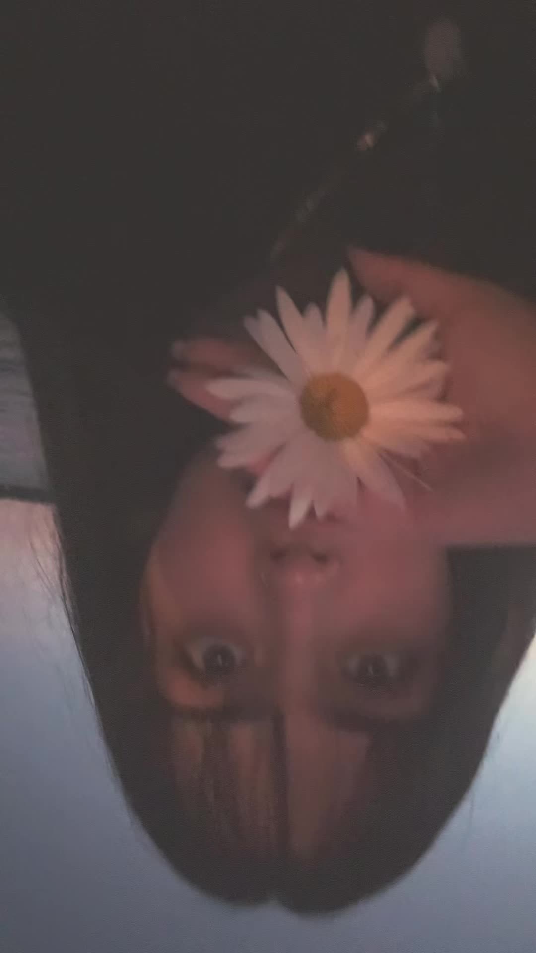 @veronica