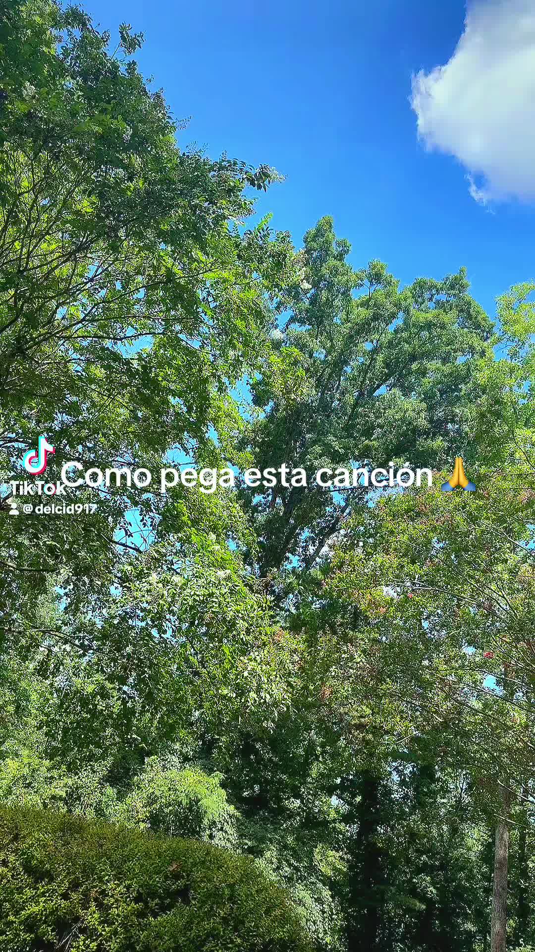 @el pay
