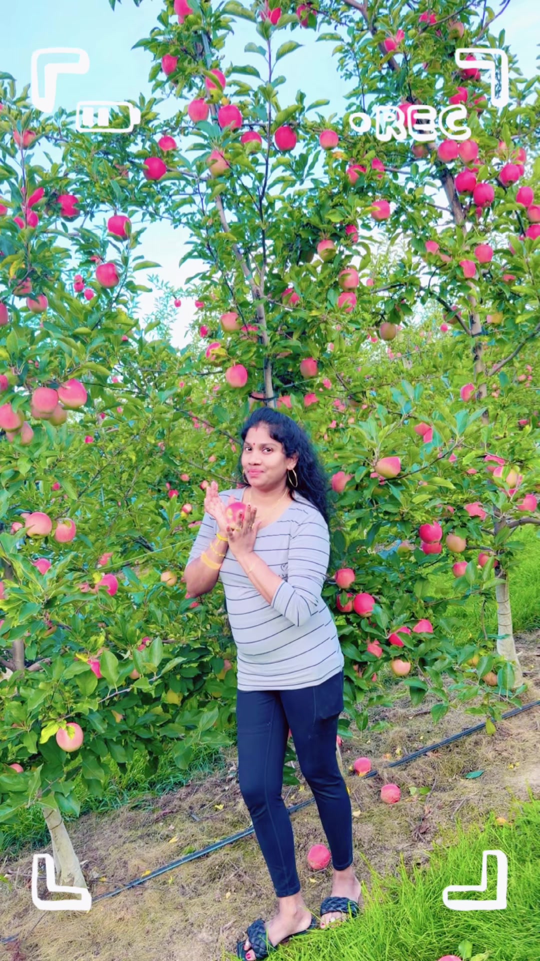 @Dinusha Ravichdran