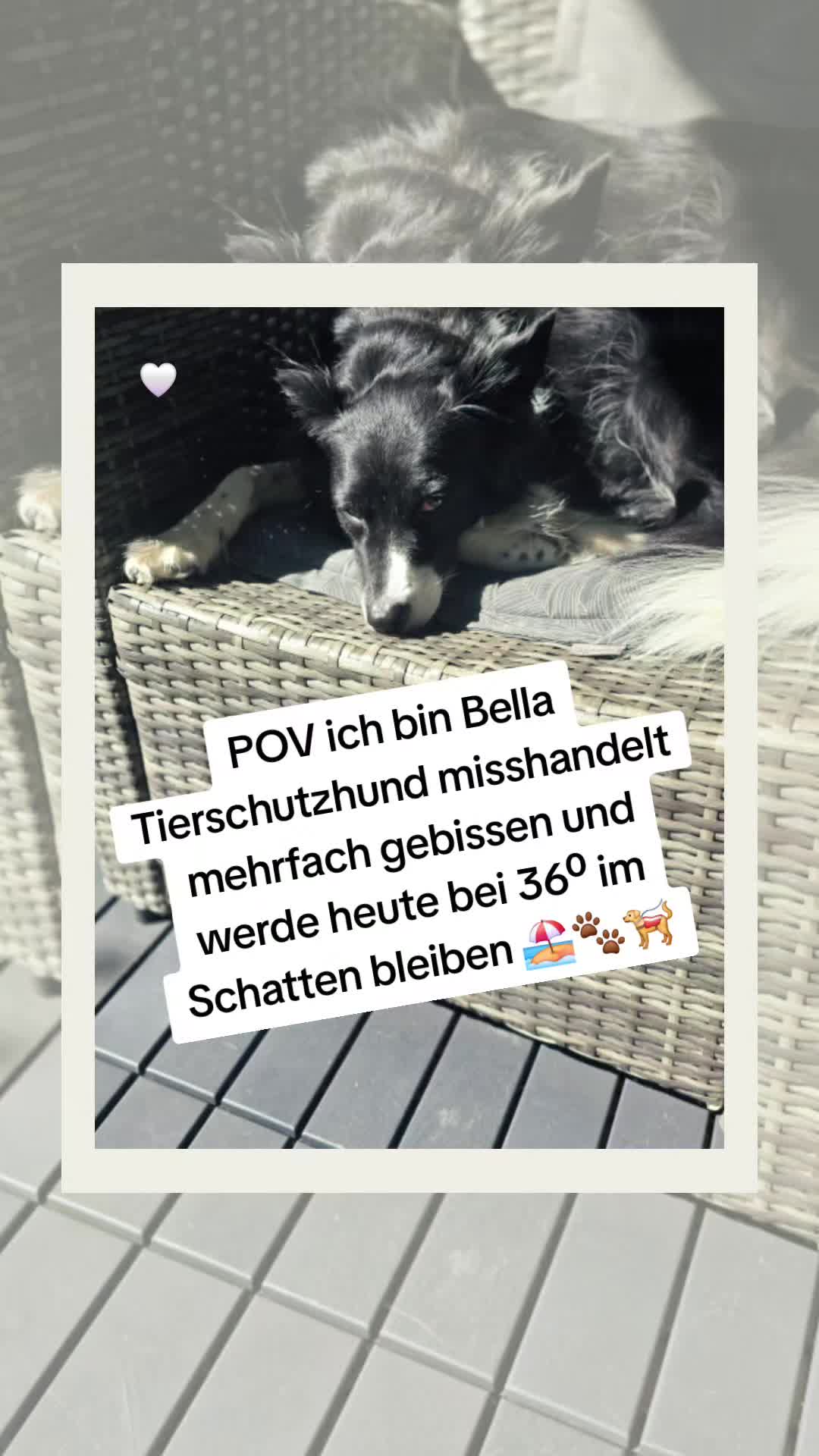 @Tatjana & Bella