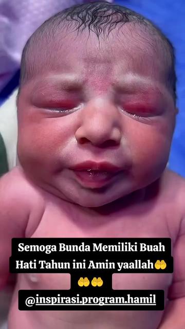 @inspirasi.program.hamil