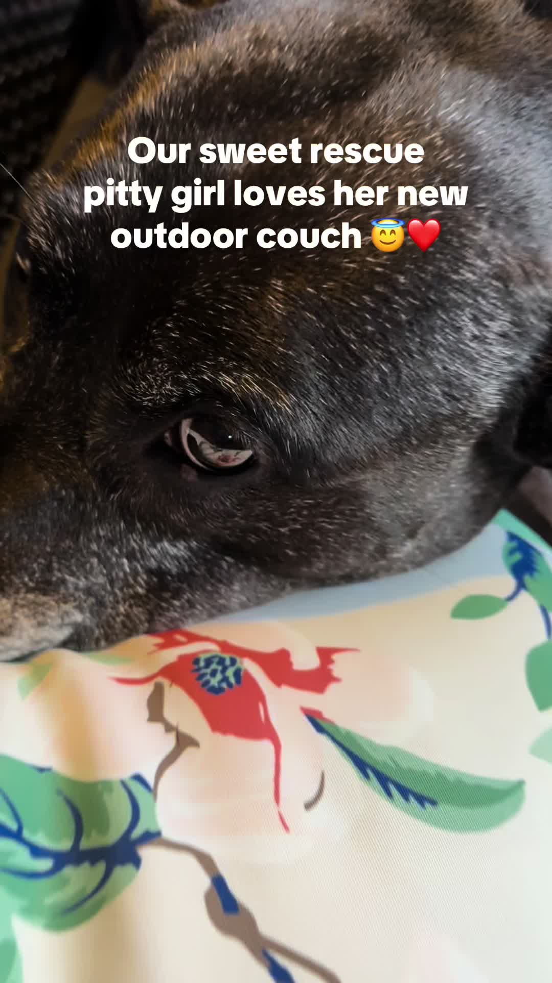 @warriorgirl_Traci 72