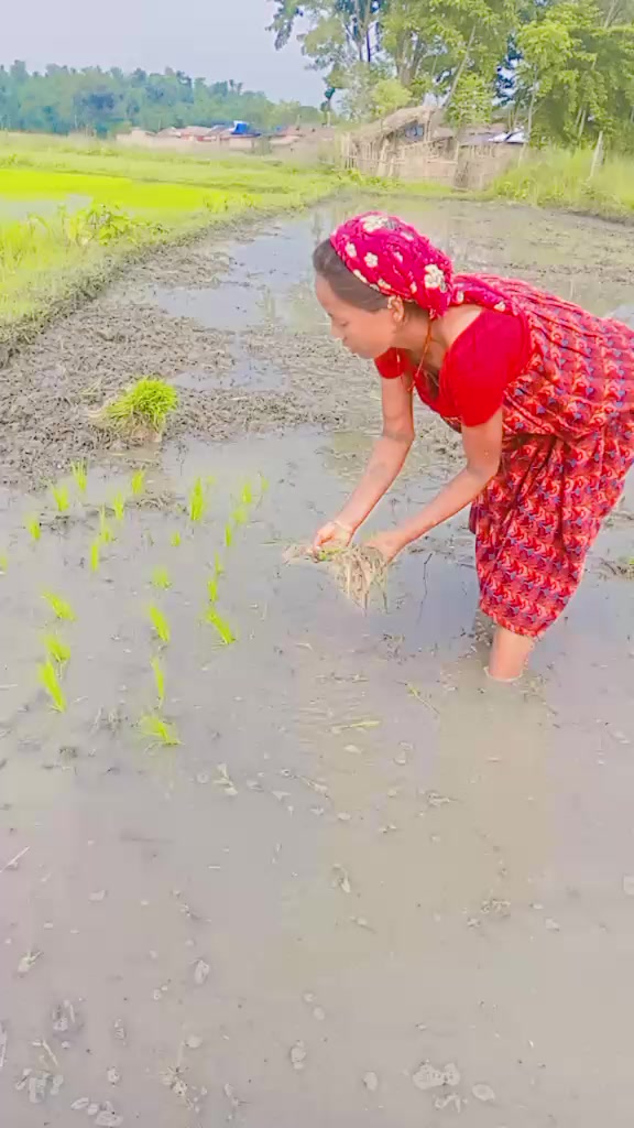 @Rabina Chaudhary