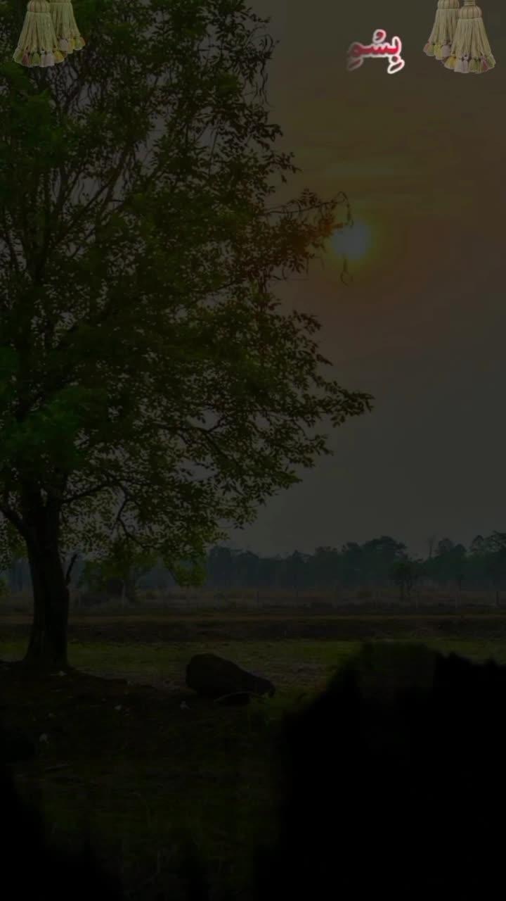 @nadeem_writes656