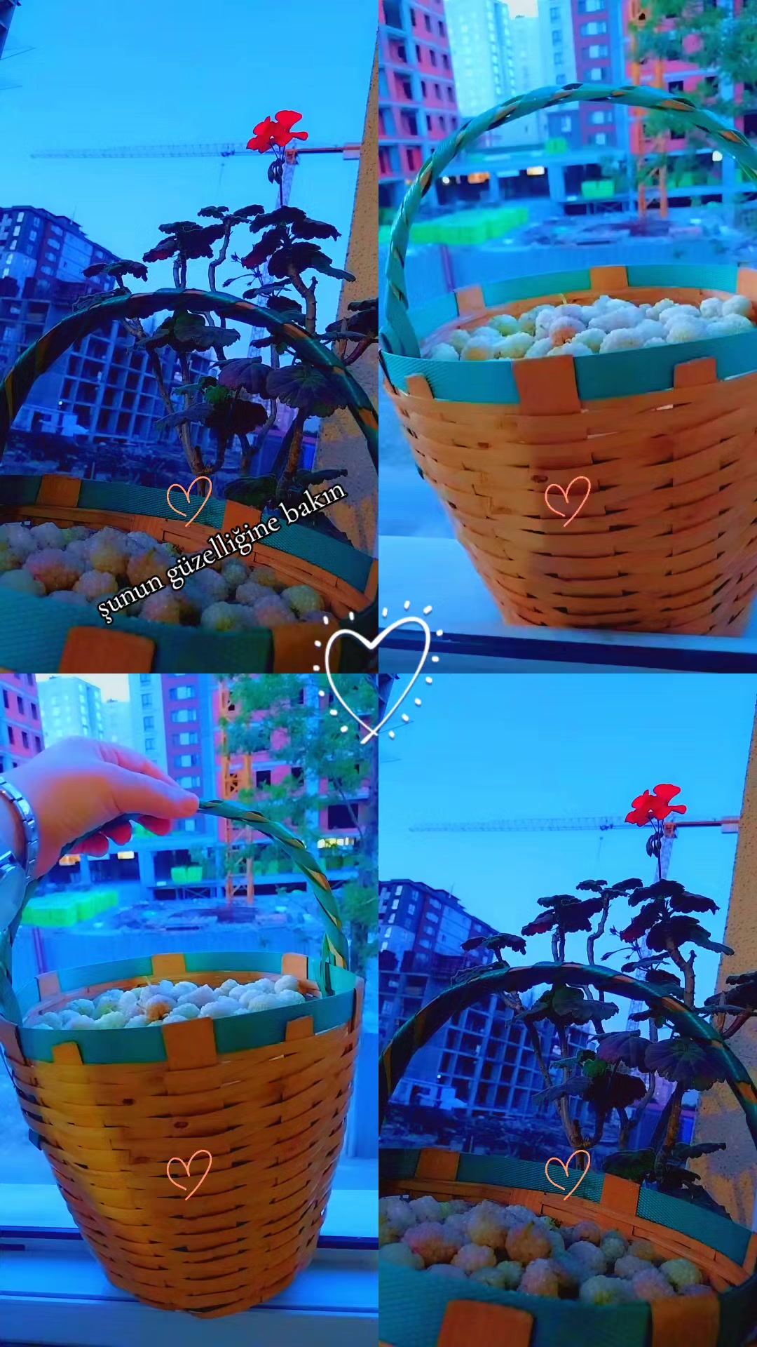 @55☆&ccedil;arşambalı 55 🍀🕊
