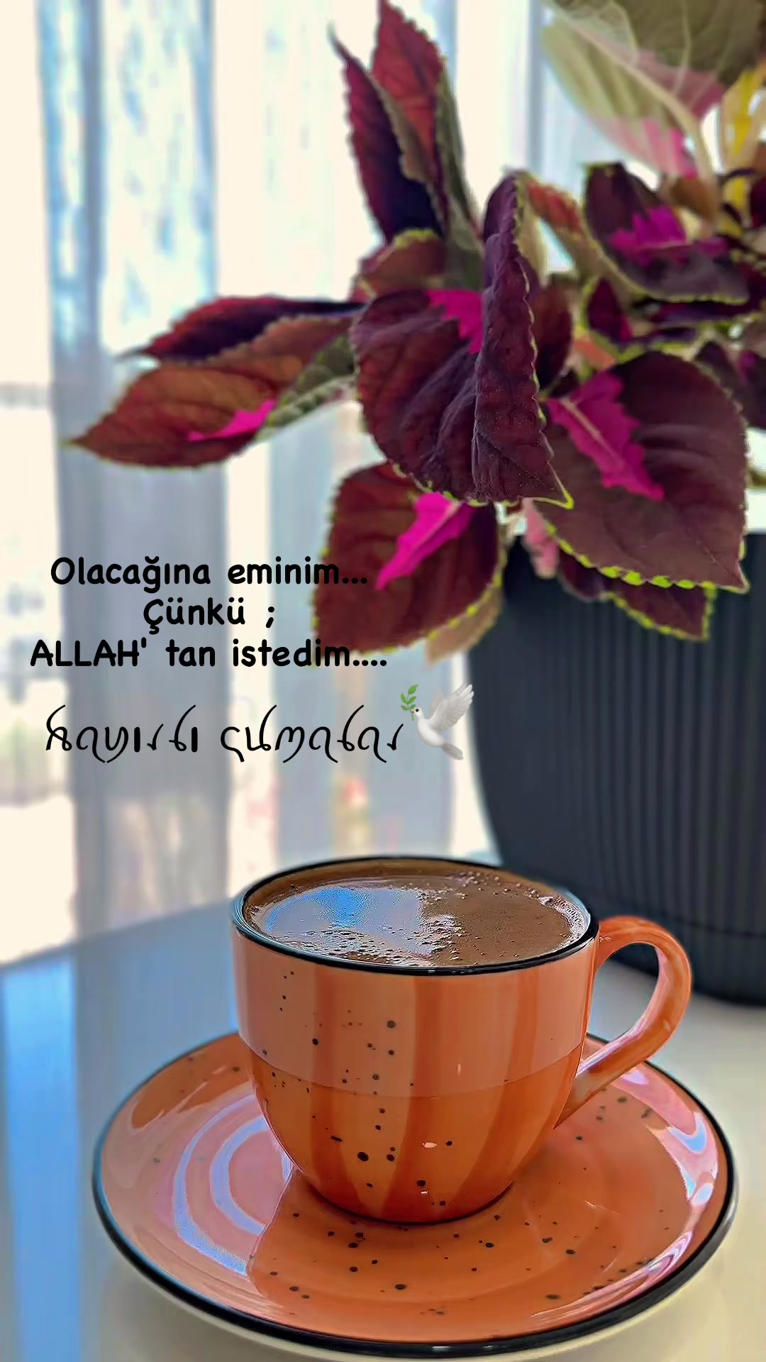 @bennvekahvem
