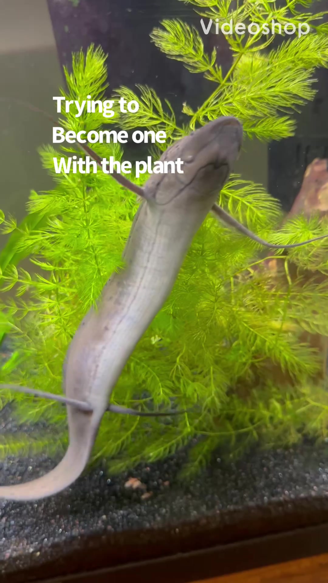 @fishdaddy2002