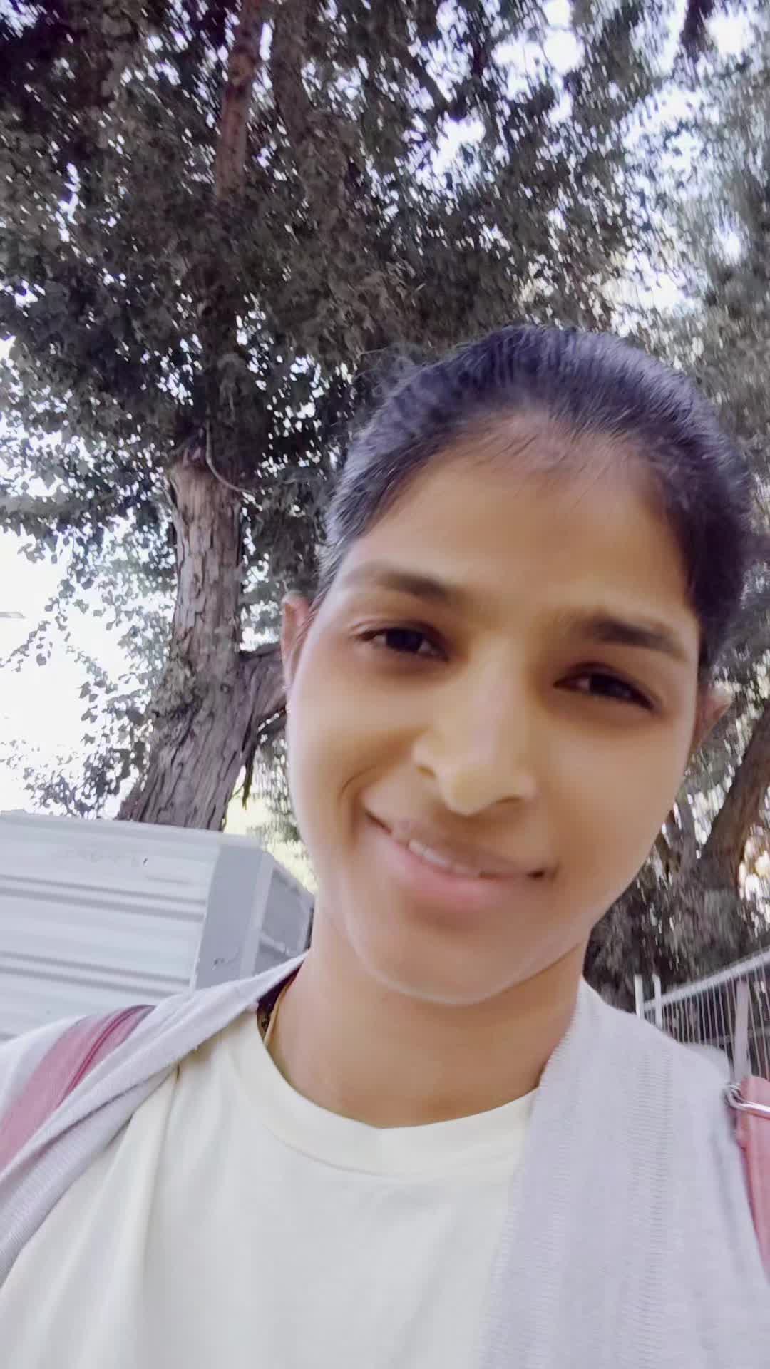 @jeci _sebi