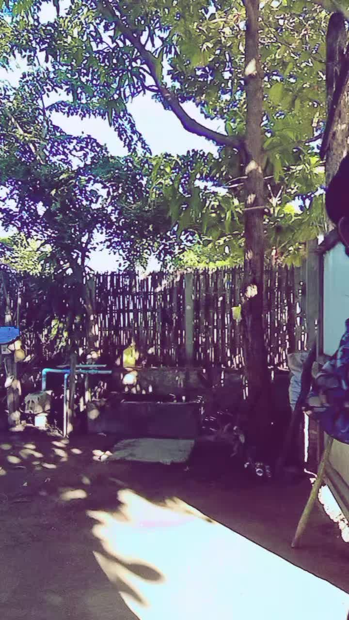 @muyar