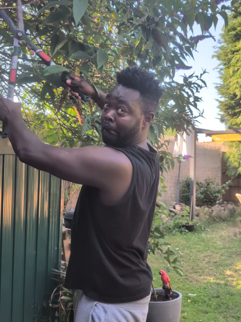 @Gambino Akuboy