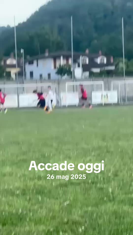 @Monica Avolio