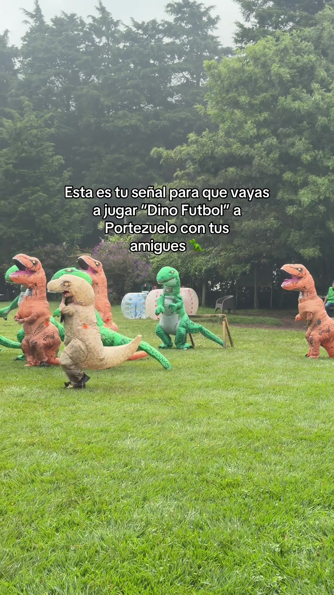 @Fabiola Zarsol