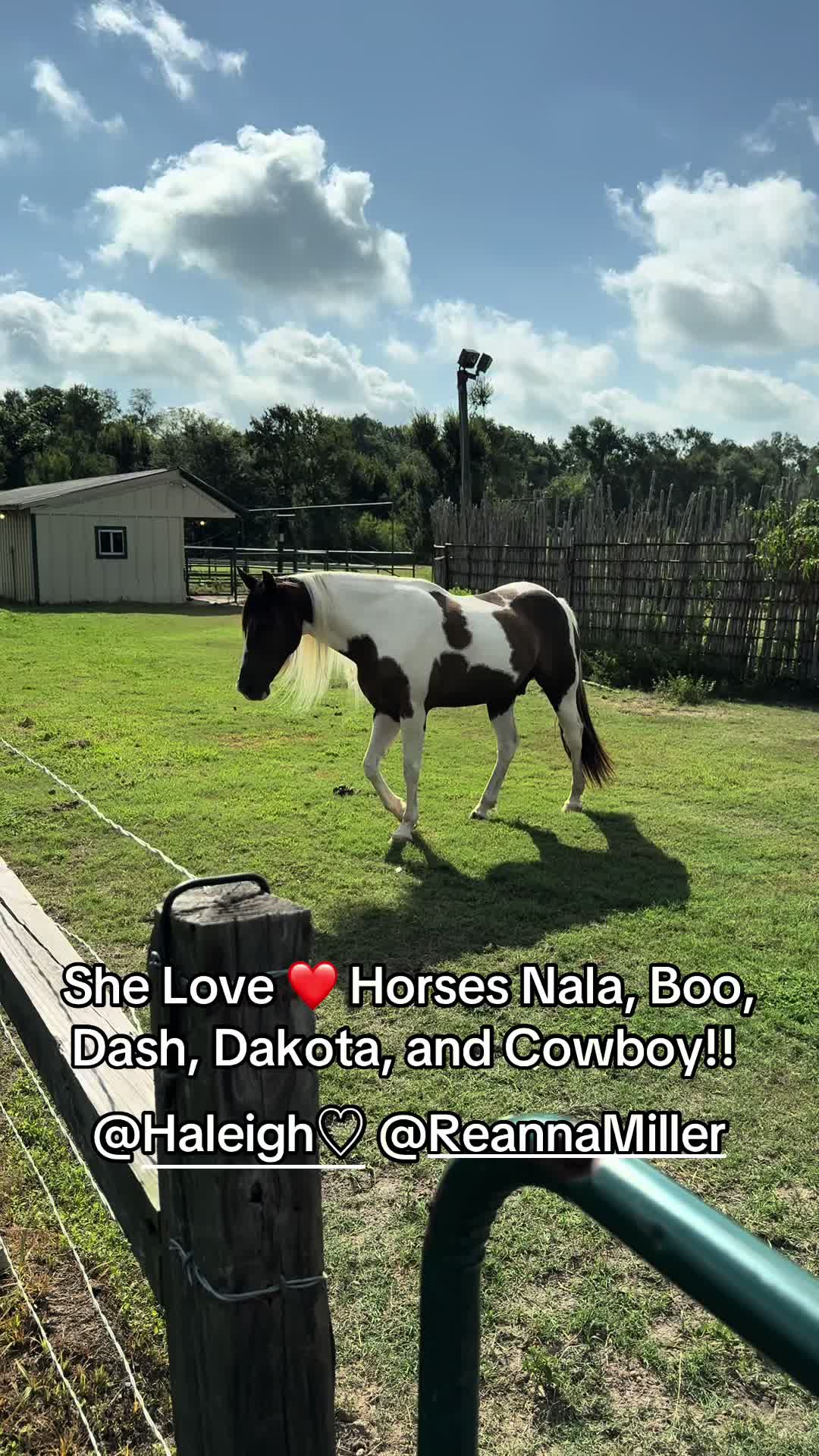 @bestlifetexas