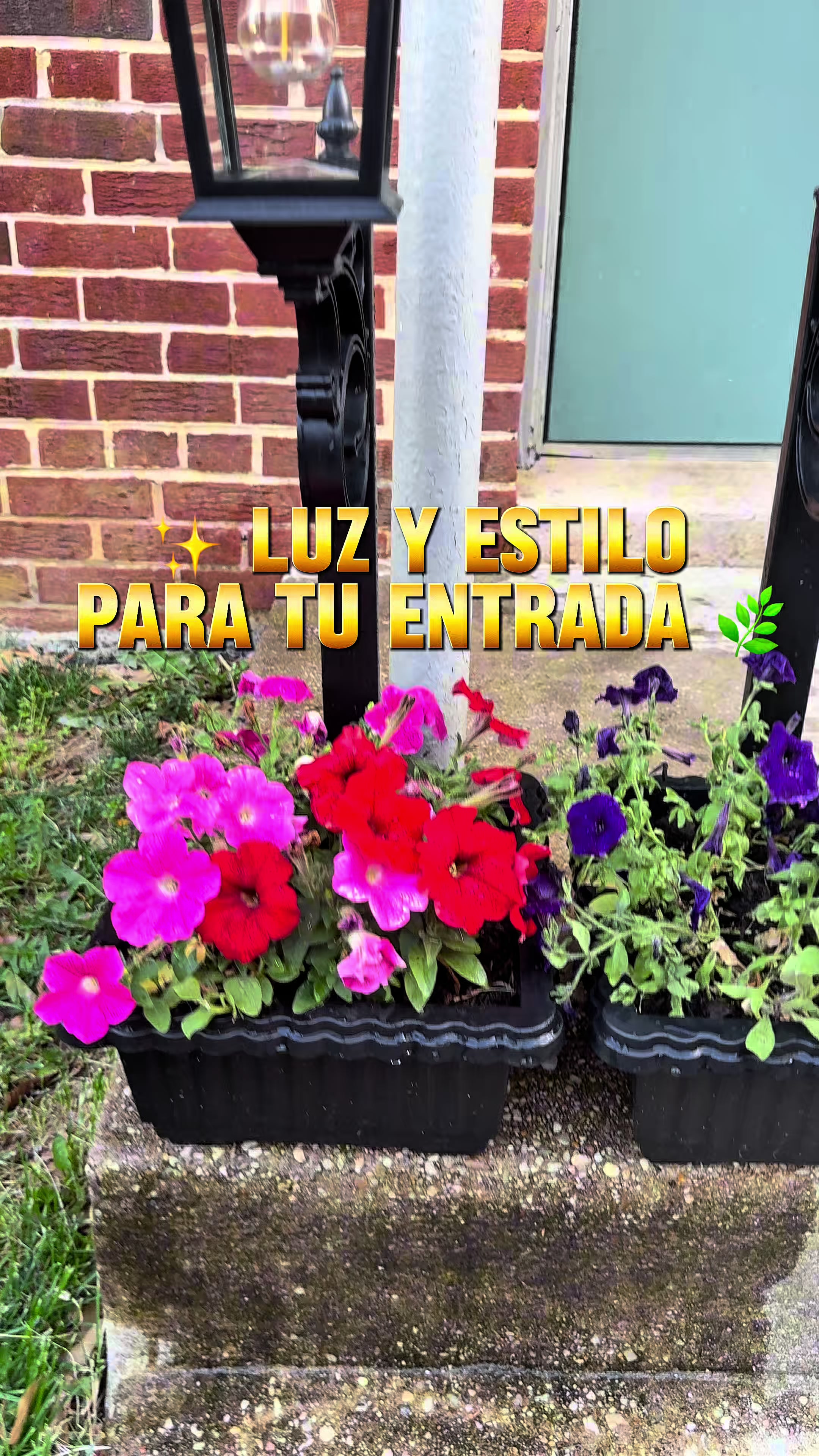 @CARLOS