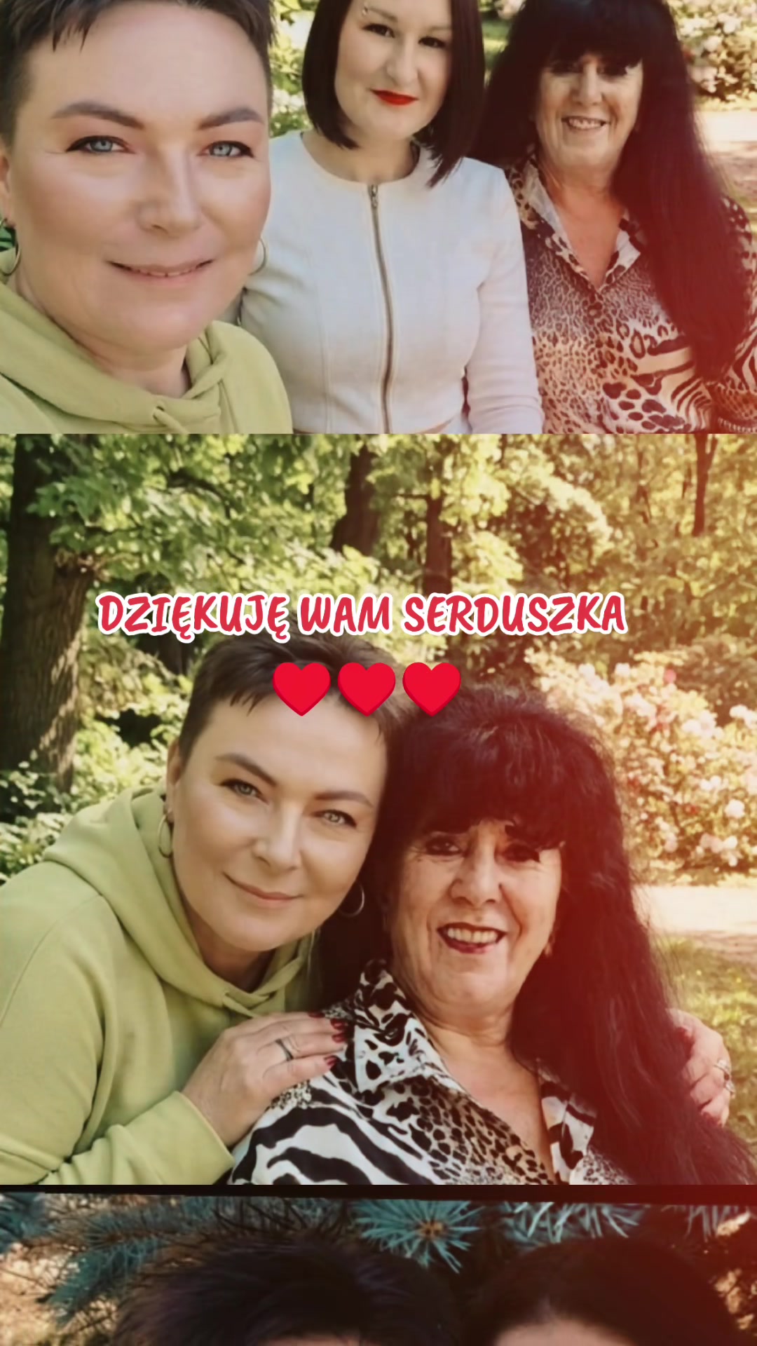 @🌿🌹 JOLA 🌹🌿