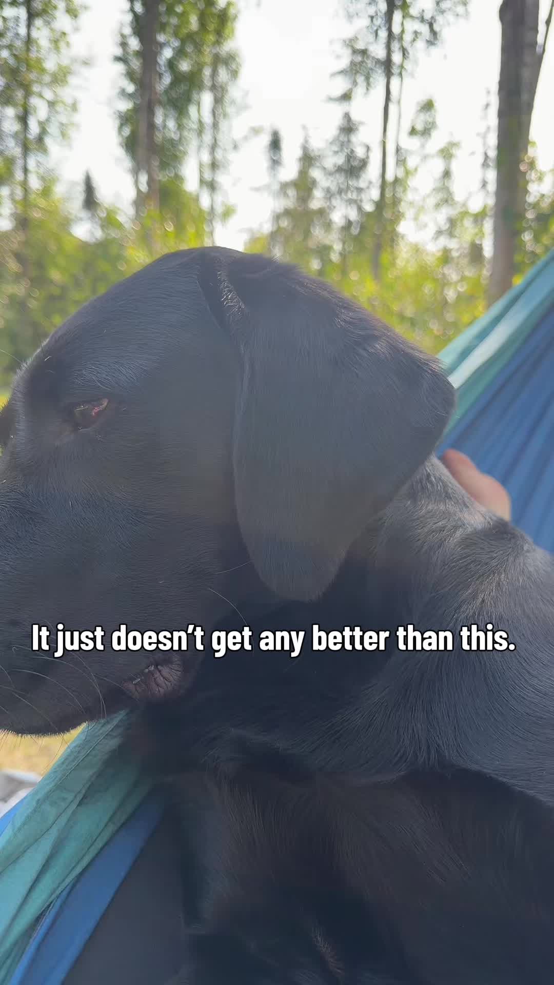@Alaska-Gus