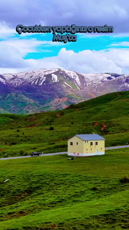 @yetkin497