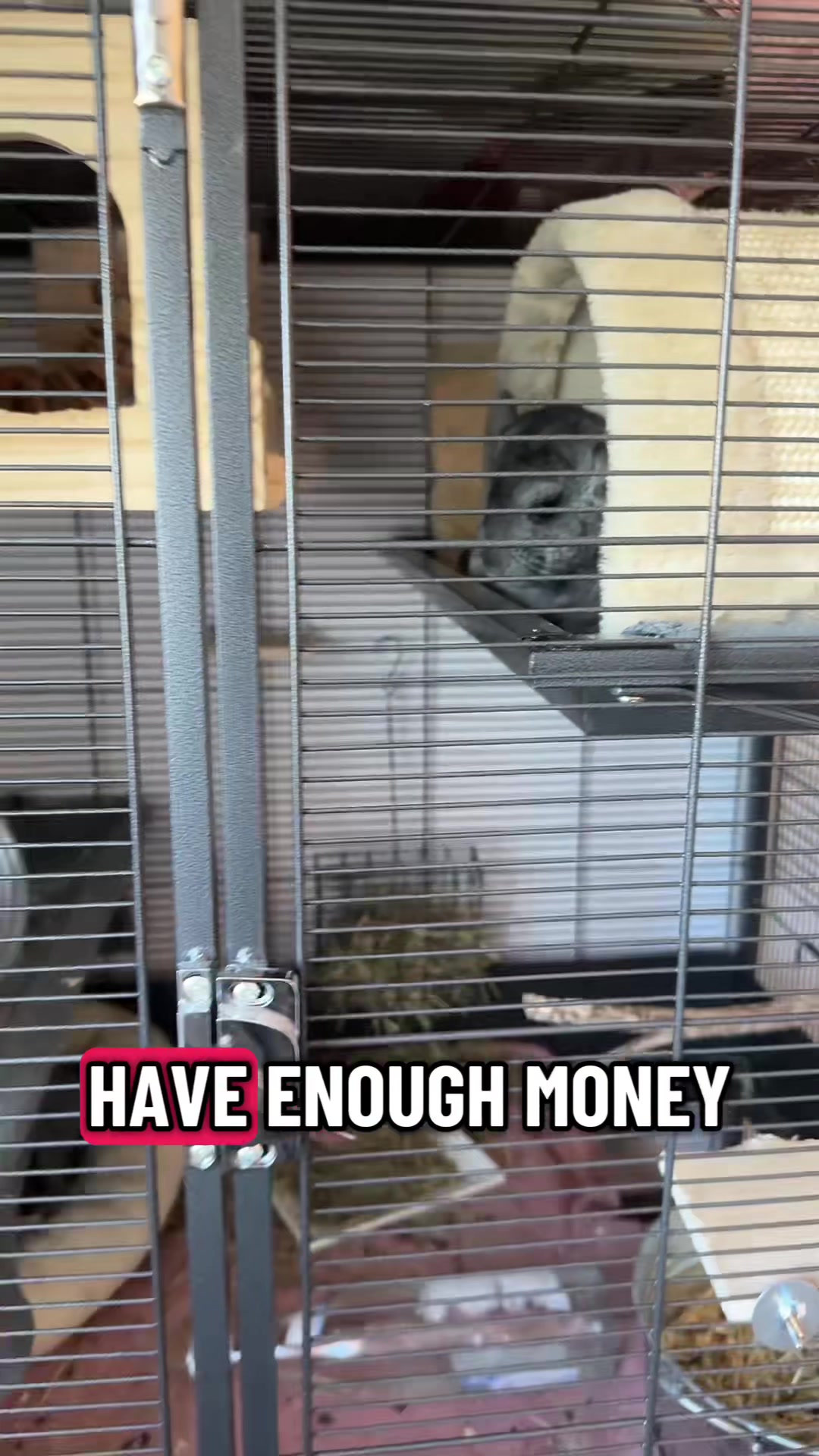 @BANDIT & STRIPE