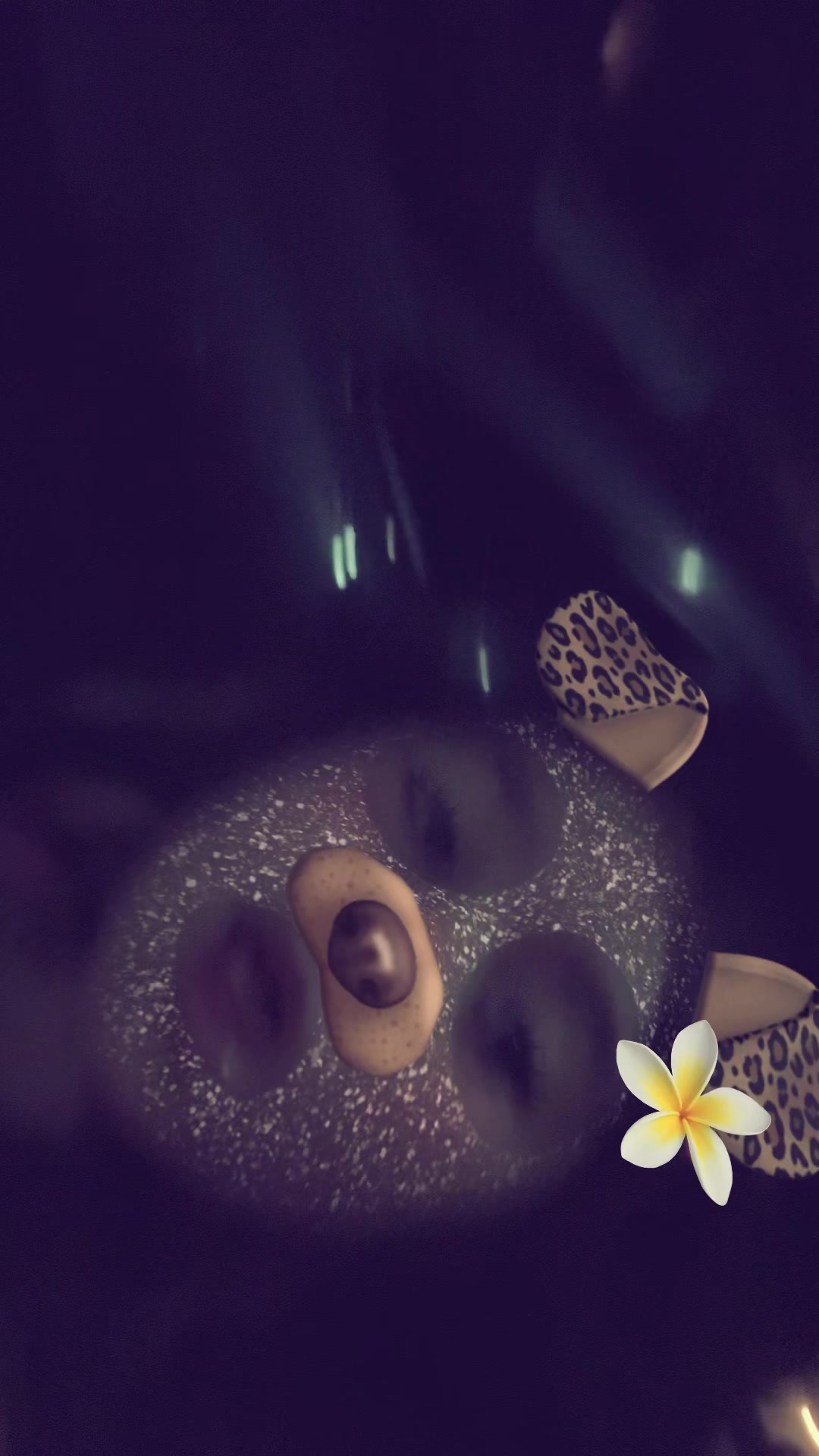 @AuroraFerro