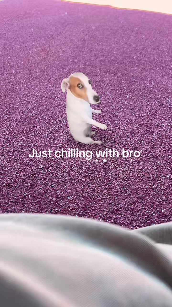 @yomrfatso_edits