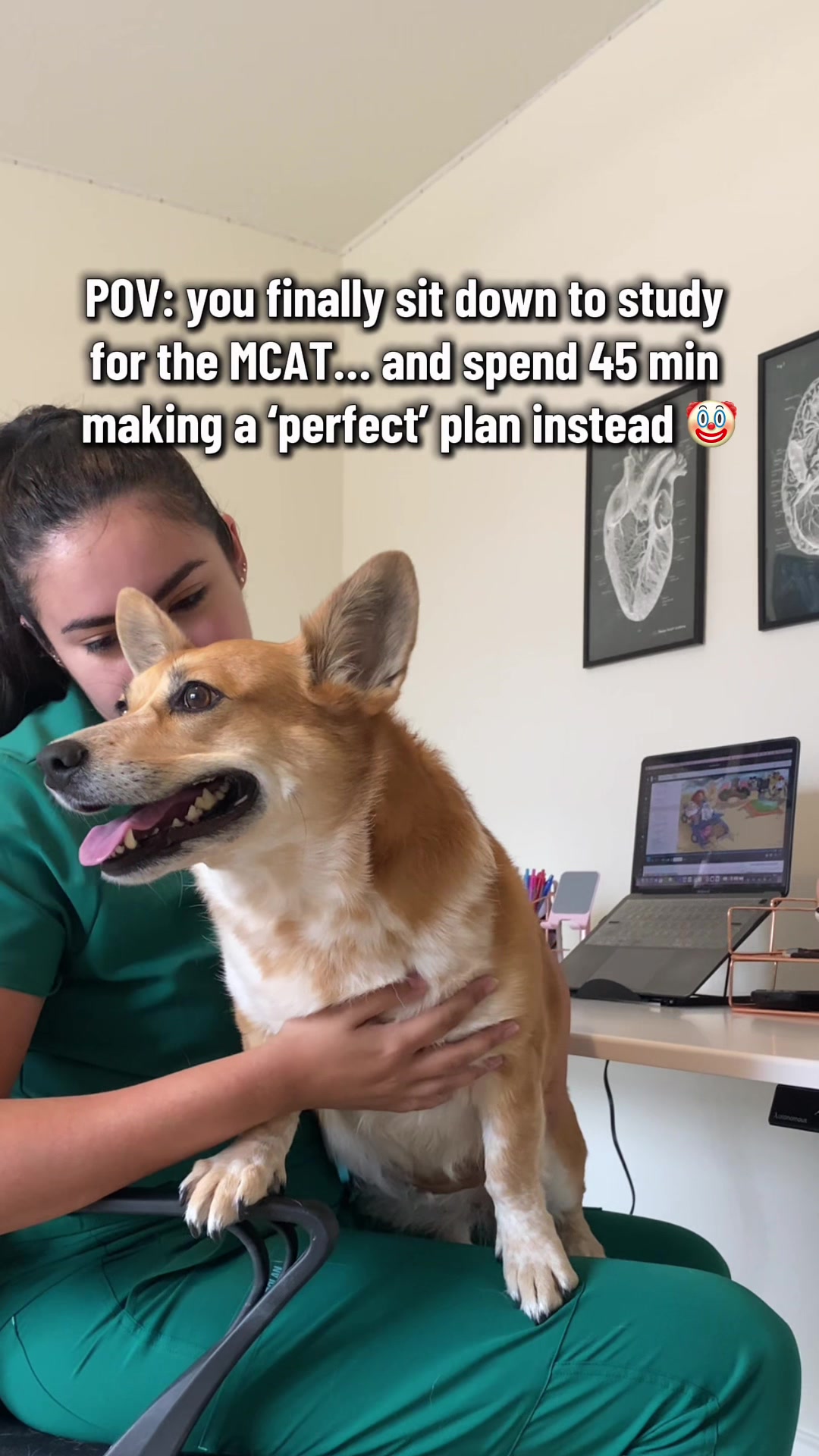 @MS4 Med Student (Premed Tips!)