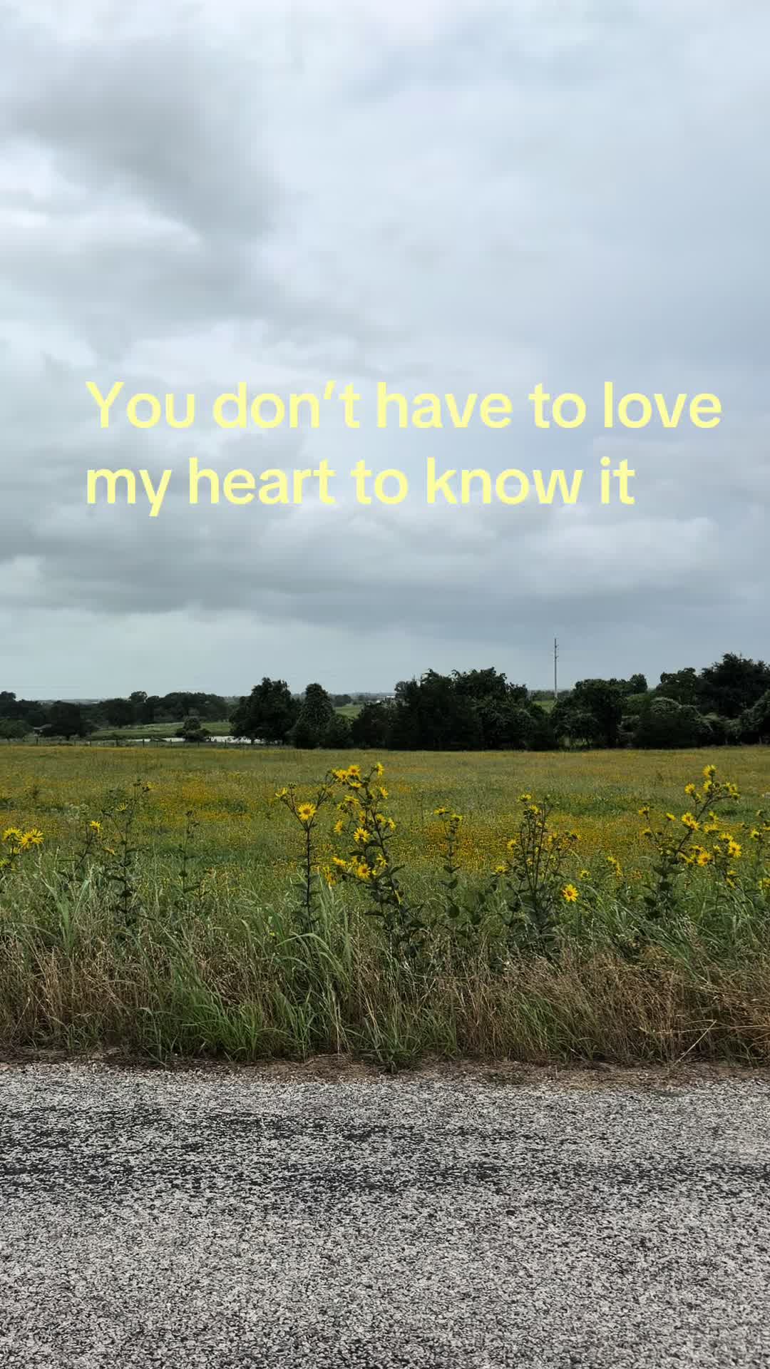 @bmr