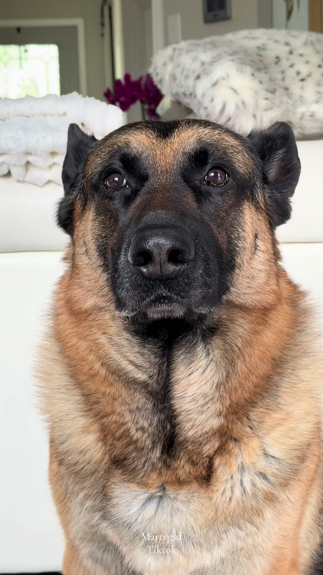 @Martygsd