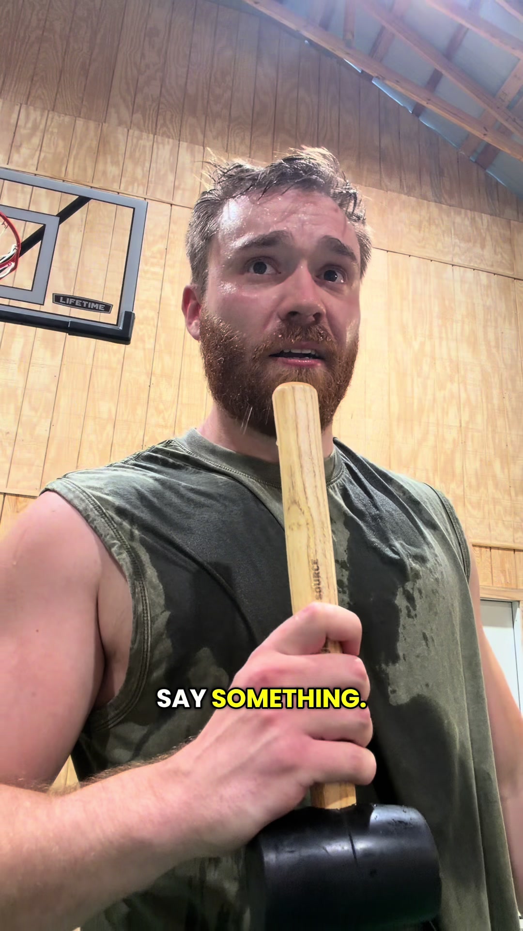 @Mr Bearded Dragon