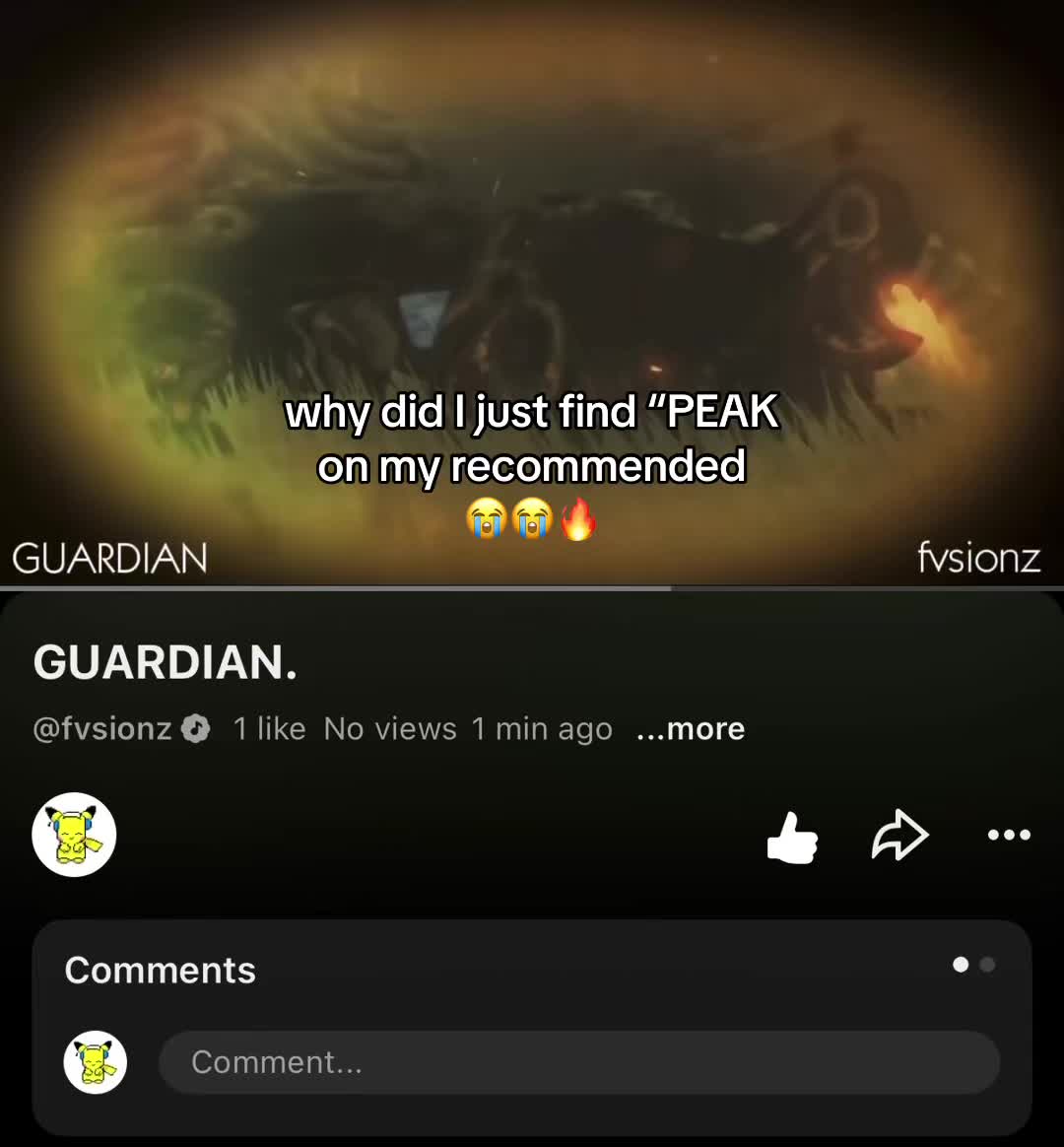 @fvsionz