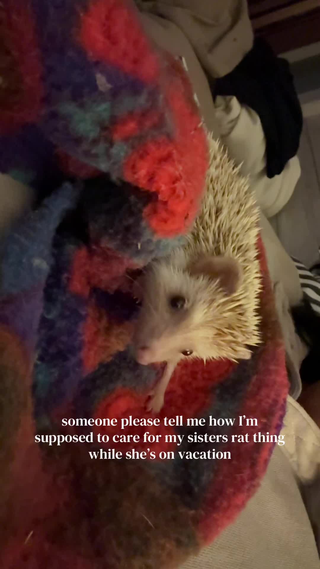 @Megan M