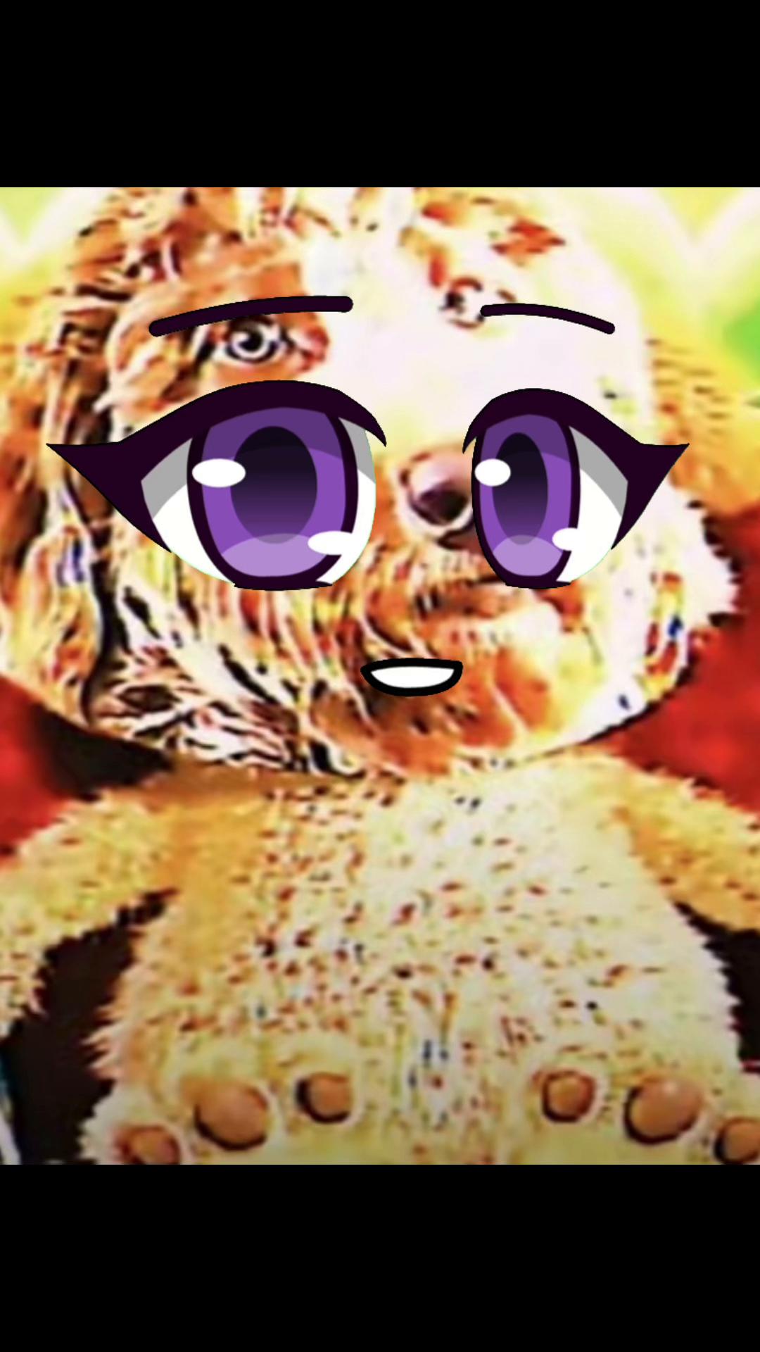@bloxadise