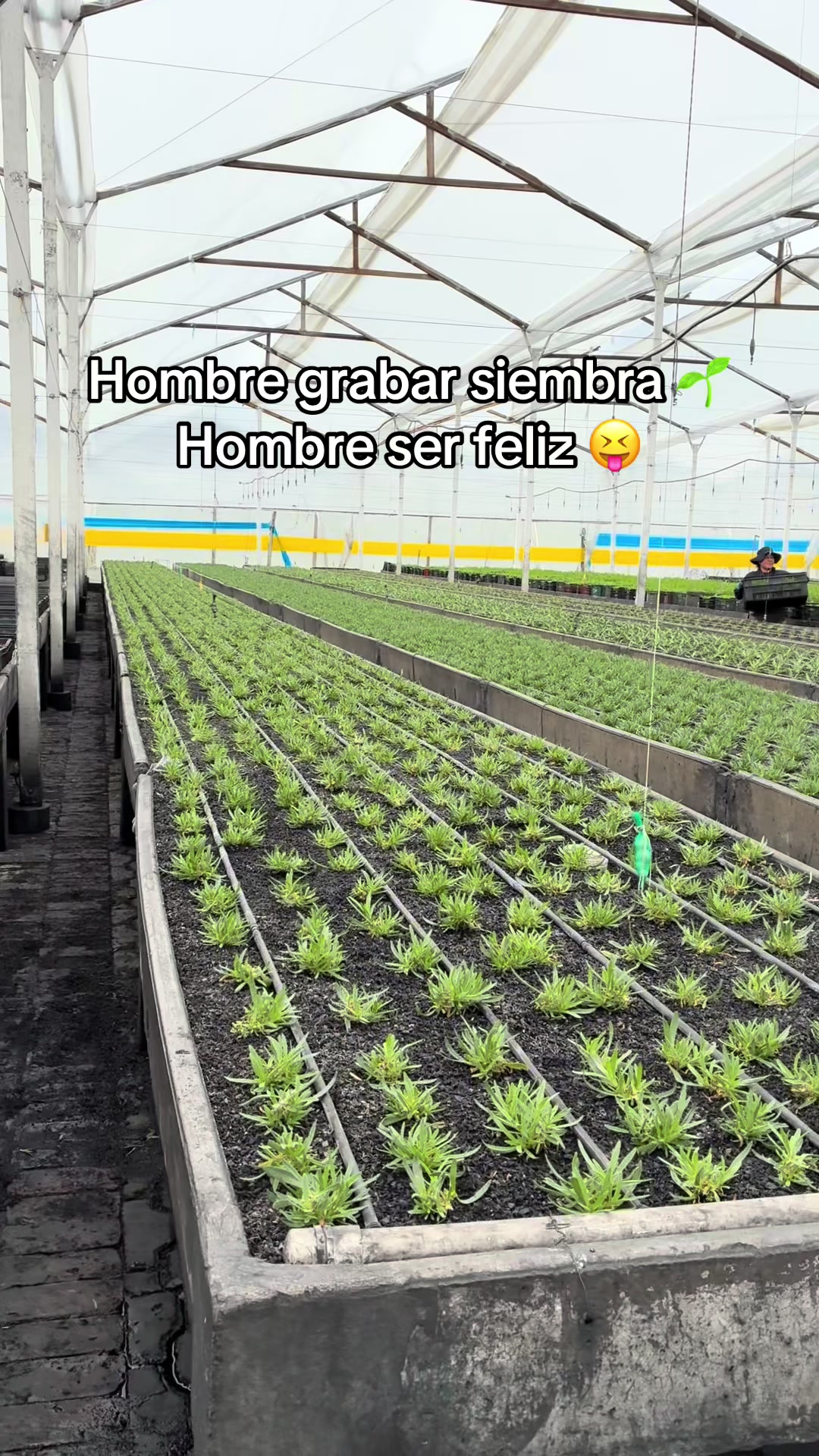 @Juan Felipe G 🧑🏻&zwj;🌾