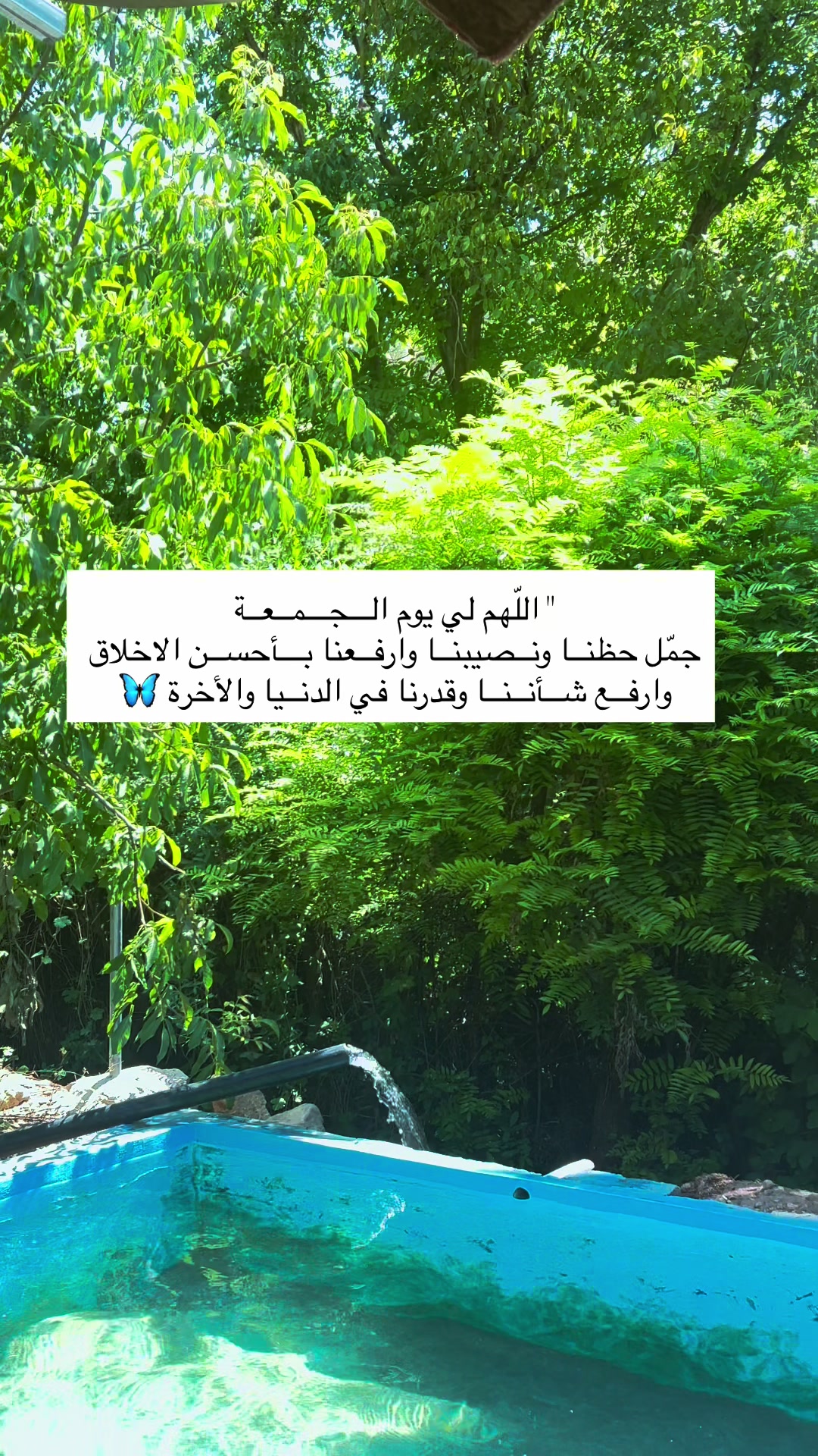 @لحظة الأمل 🫀🤍