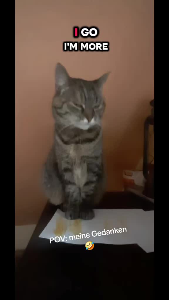@Susi & der Dosenöffner 🤔🤣