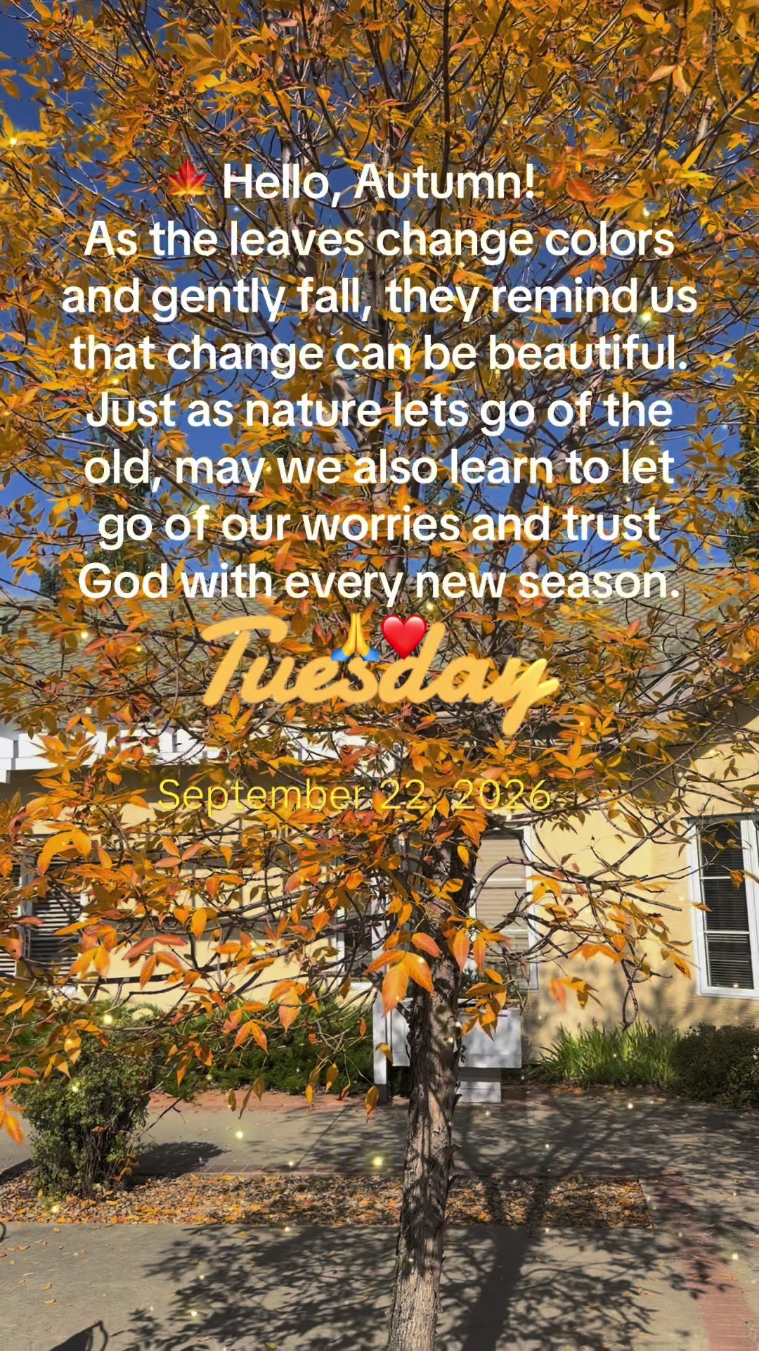@Roseann luna