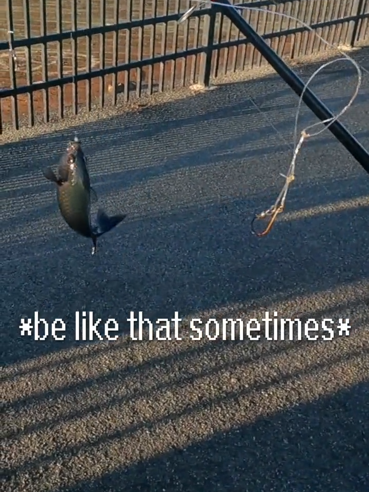 @SvenGoesFishing