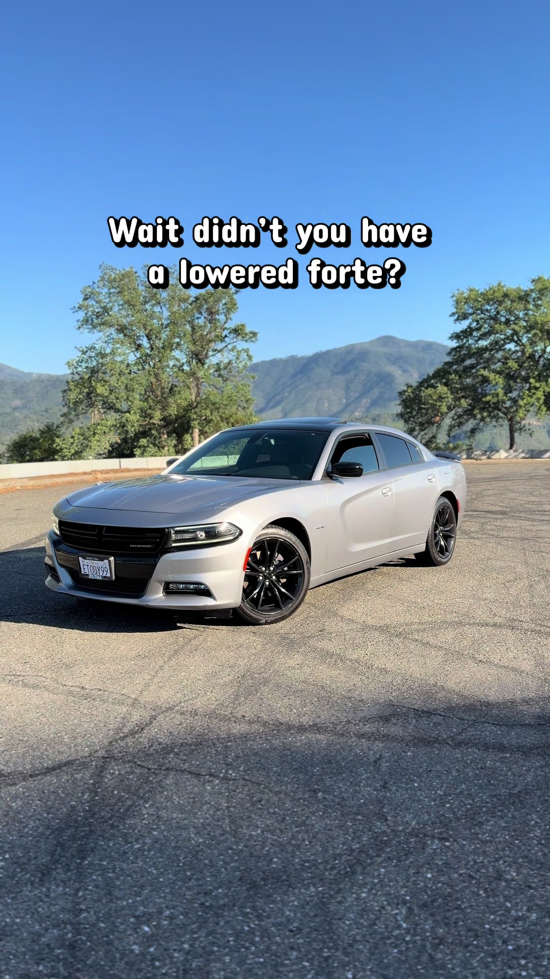 @HailsRt 🩶