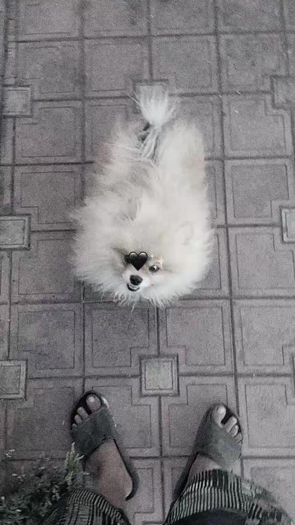 @вечно молодий