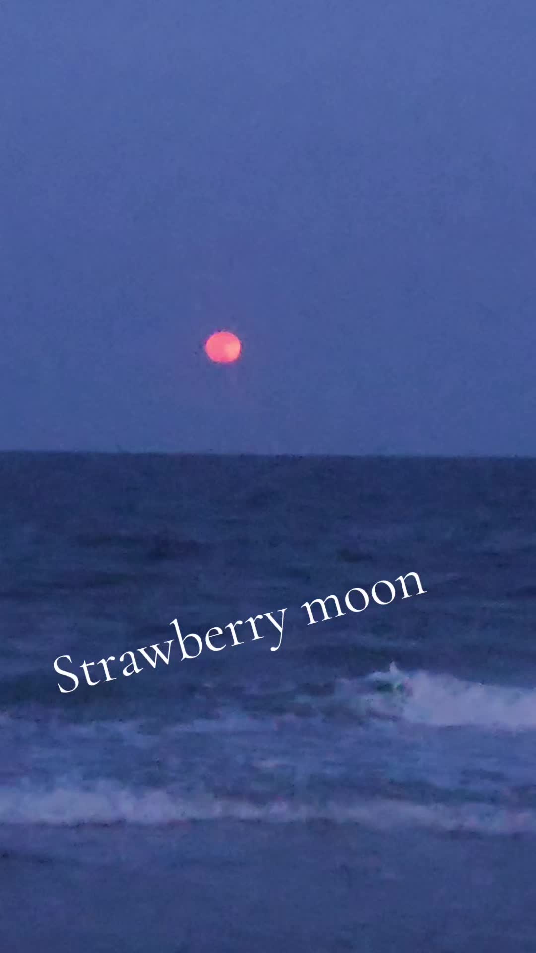 @stacyposton3