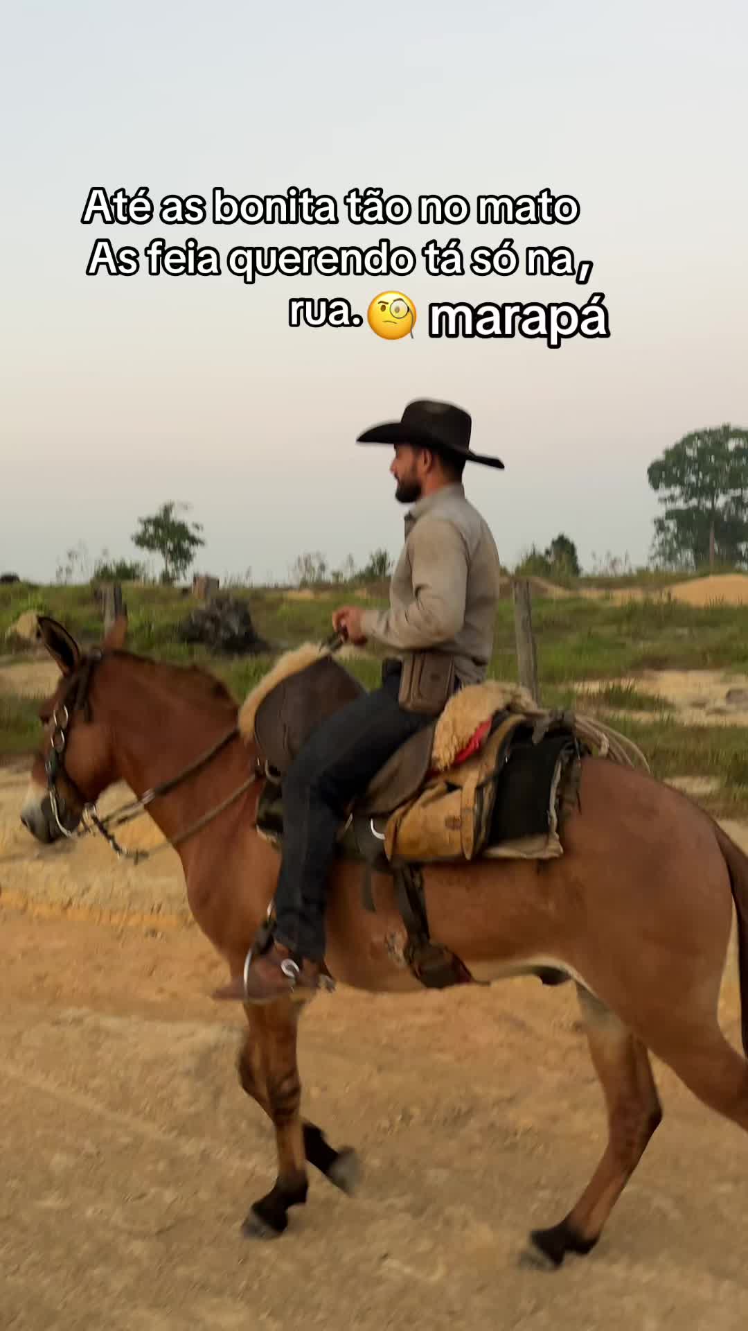 @vaqueirolendario