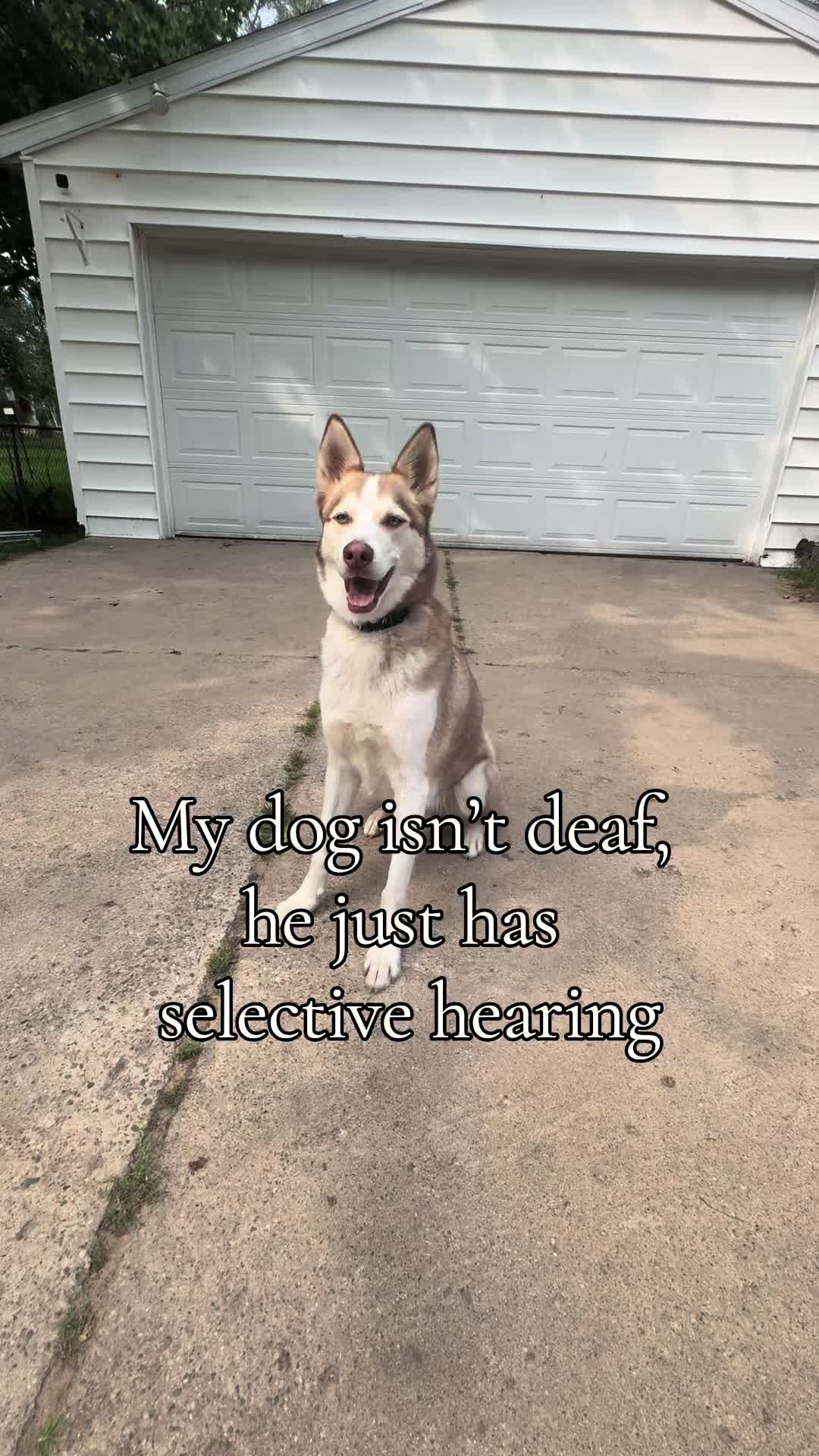 @Disabled Pharmacist